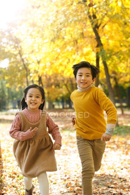 Прелестные счастливые брат и сестра, бегущие вместе в осеннем лесу — стоковое фото