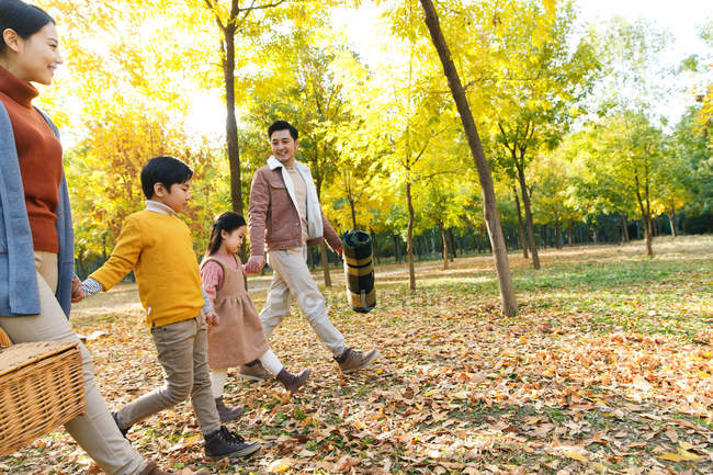 Vue latérale de heureuse jeune famille asiatique avec deux enfants se tenant la main et marchant sur le pique-nique dans le parc d'automne — Photo de stock