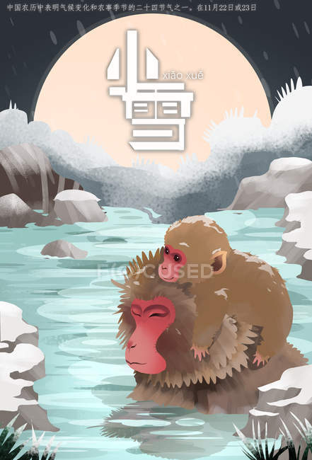 Creative illustration of cute monkeys in water at wintertime and chinese characters — Stock Photo