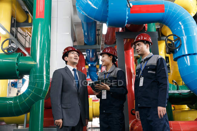 Personnel technique en casquettes rigides travaillant ensemble à l'inspection de l'usine — Photo de stock