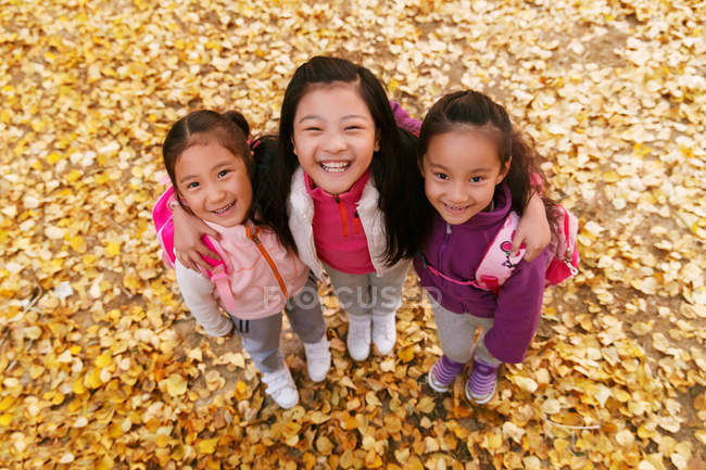 Высокий угол обзора трех очаровательных улыбающихся азиатских детей, обнимающихся в осеннем парке и смотрящих в камеру — стоковое фото