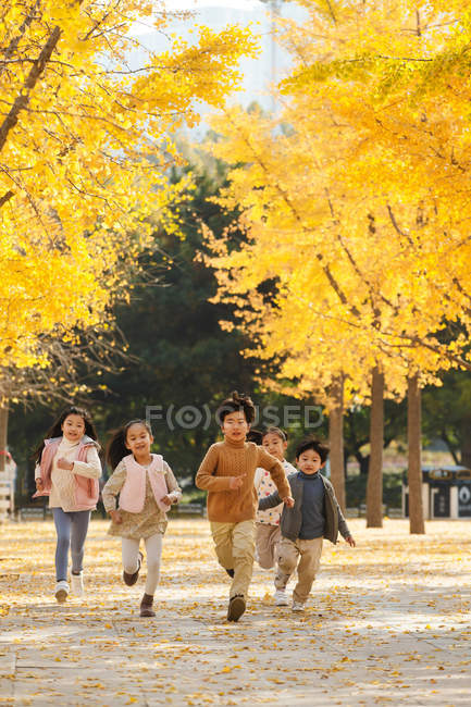 П'ять чарівних азіатських дітей, що працюють в автономному парку — стокове фото