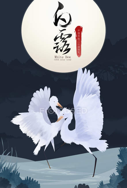 Красивая иллюстрация белых цаплей в воде и китайских символов с белой росой — стоковое фото