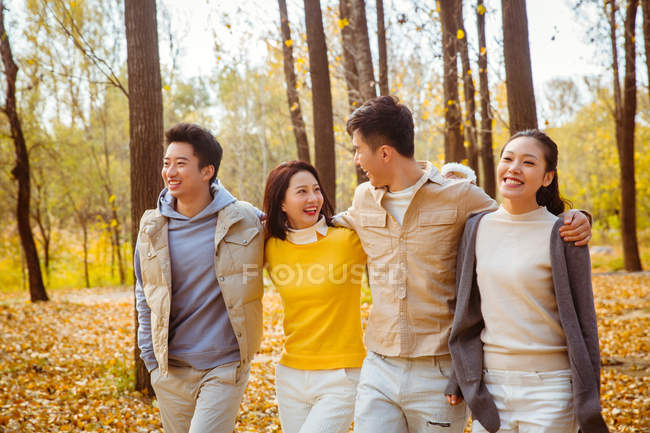Cuatro jóvenes feliz asiático amigos abrazo y caminar en otoñal bosque - foto de stock