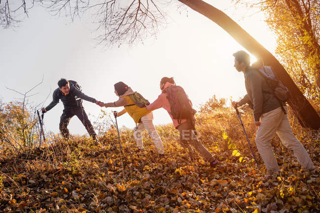 Четыре азиатских друга треккинг в осеннем лесу — стоковое фото