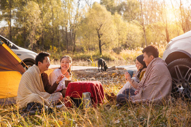 Four asian friends drinking tea and talking at camping place in autumnal forest — Stock Photo