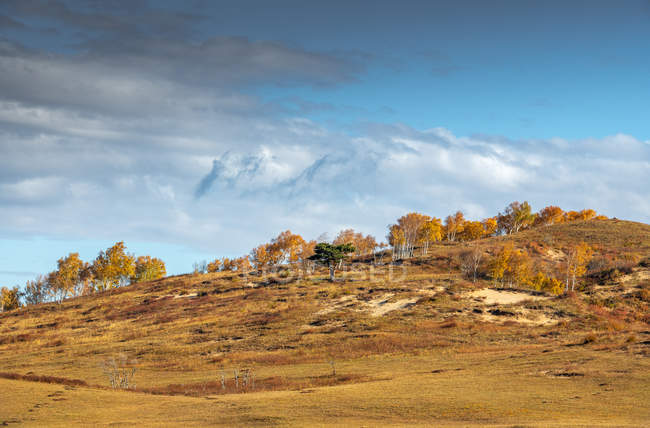 Beautiful autumnal landscape in Inner Mongolia — Stock Photo