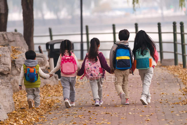 Rückansicht von fünf Kindern, die sich an Händen halten und im herbstlichen Park spazieren gehen — Stockfoto
