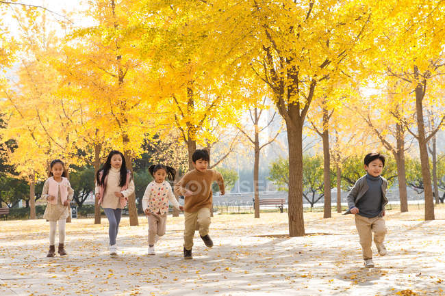 Cinco adorável asiático crianças correndo no outonal parque — Fotografia de Stock