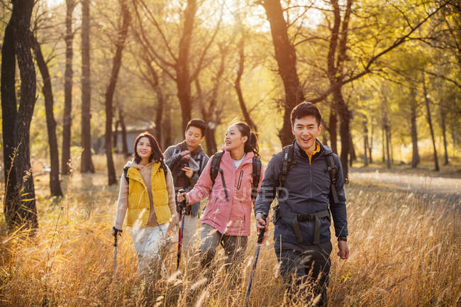 Four happy asian friends trekking in autumnal forest — Stock Photo
