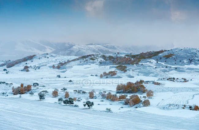 Bellissimo paesaggio invernale nella Mongolia Interna — Foto stock
