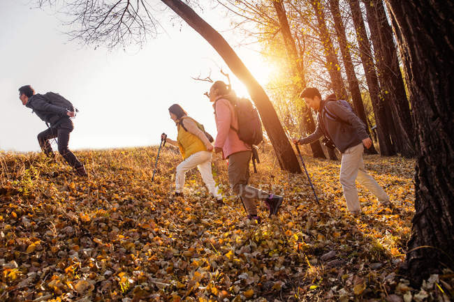 Four asian friends trekking in autumnal forest — Stock Photo