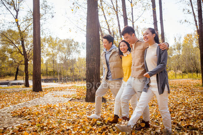 Four young happy asian friends hugging and walking in autumnal forest — Stock Photo