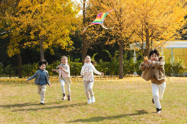 Ragazzi e ragazze felici che giocano insieme con aquilone nel parco — Foto stock