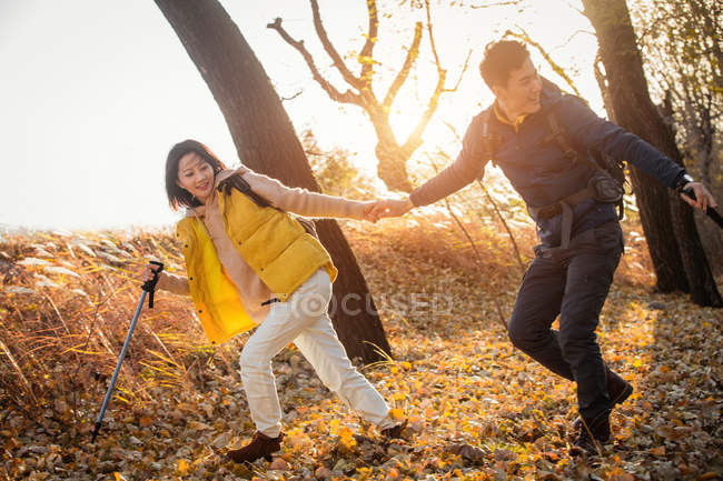 Sorrindo asiático casal segurando as mãos e trekking no outonal floresta — Fotografia de Stock