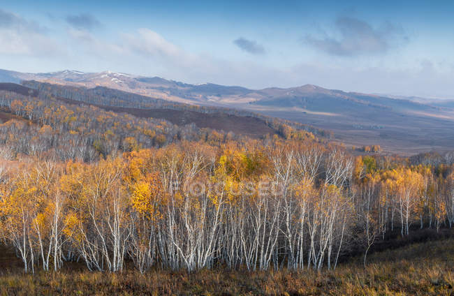 Wunderschöne Herbstlandschaft in der inneren Mongolei — Stockfoto
