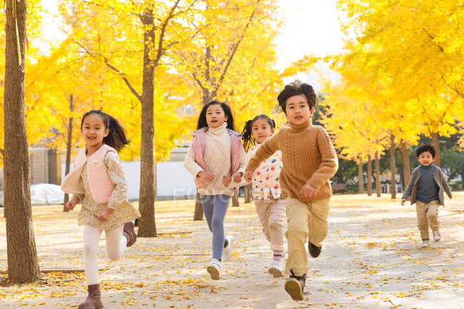 Cinco adorable asiático niños corriendo en otoñal parque - foto de stock
