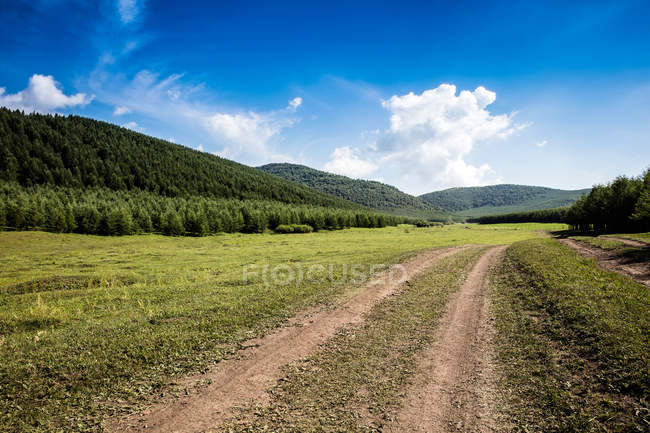 Порожня сільська дорога і красиві зелені пагорби, покриті пишною рослинністю в сонячний день — стокове фото