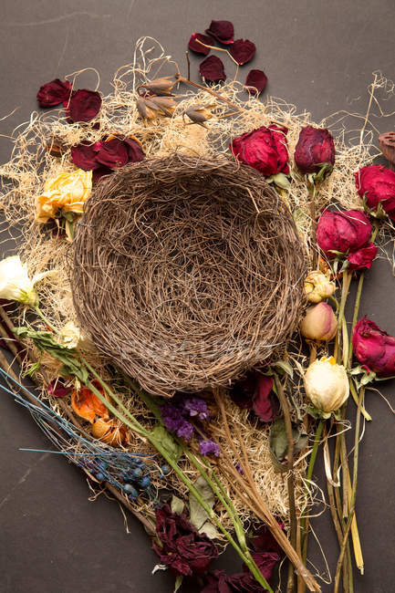 Blick von oben auf schöne verschiedene arrangierte getrocknete Blumen und Nester — Stockfoto