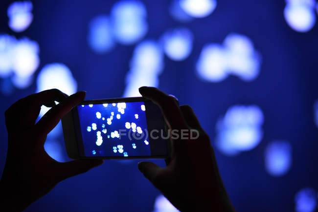 Gros plan vue partielle de la personne tenant smartphone et photographiant méduses blanches sur fond bleu — Photo de stock