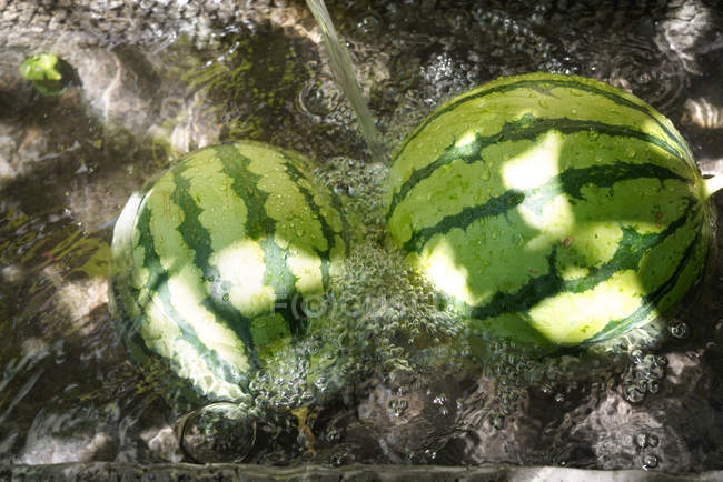 Close-up view of fresh ripe sweet watermelons in water — Stock Photo