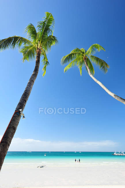 Blick auf Palmen und Menschen, die am sandigen Boracay-Strand spazieren — Stockfoto