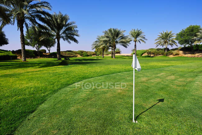 Green oasis with fresh grass and palm trees in desert at sunny day — Stock Photo