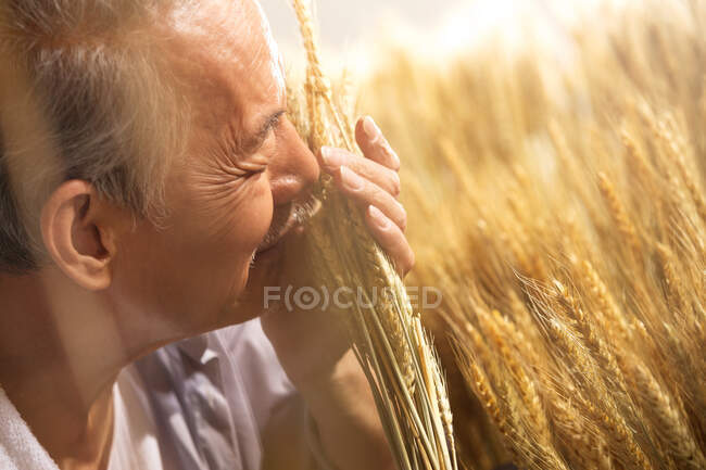 The old farmer with wheat — Stock Photo
