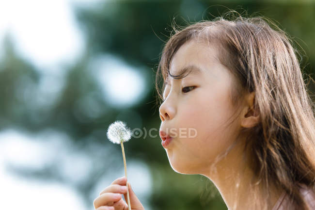 Entzückende asiatische Kind pustet Löwenzahn im Freien — Stockfoto