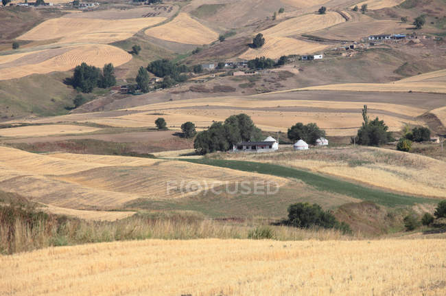 Hermoso paisaje con campo de trigo en pingdingshan, xinjiang, china - foto de stock