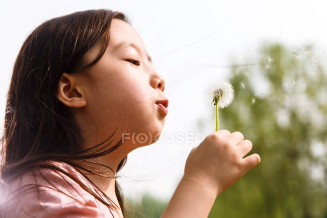 Adorable asian kid blowing dandelion outdoors — Stock Photo