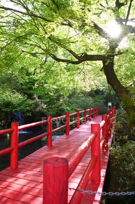 Amazing natural scenery with empty red bridge — Stock Photo