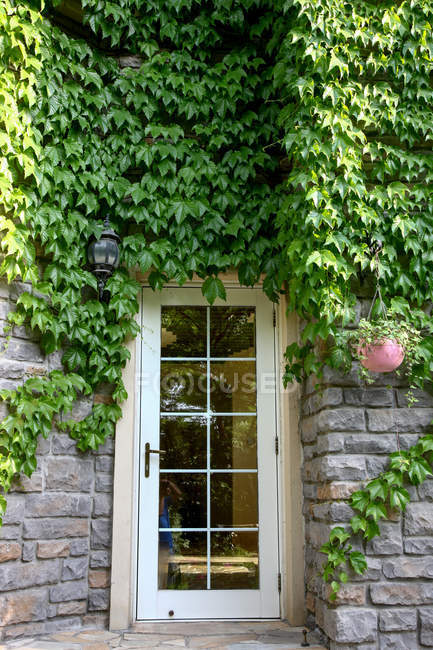 Porta di vetro a villa ricoperta di foglie di edera verde — Foto stock
