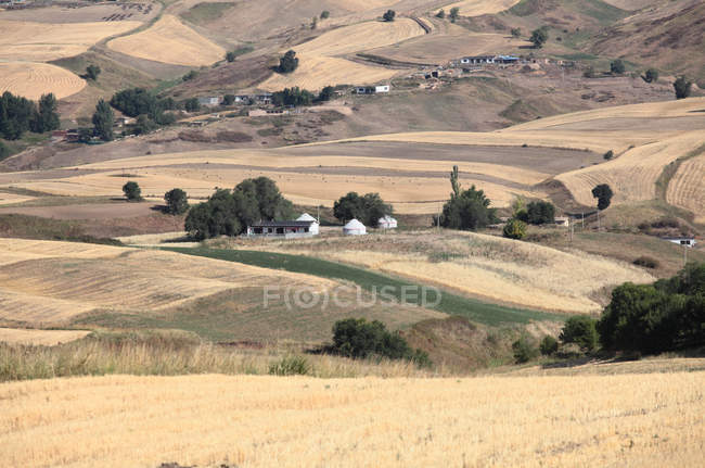 Красивий ландшафт з пшеничним полем у піндіншань, Сіньцзяні, Китай — стокове фото
