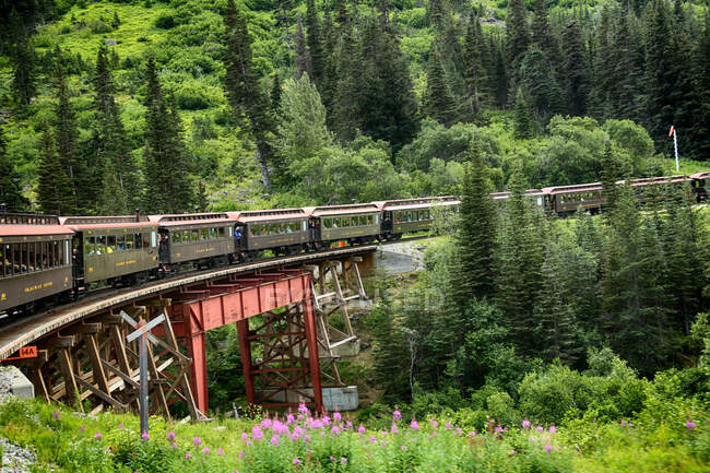 Le train en Alaska — Photo de stock