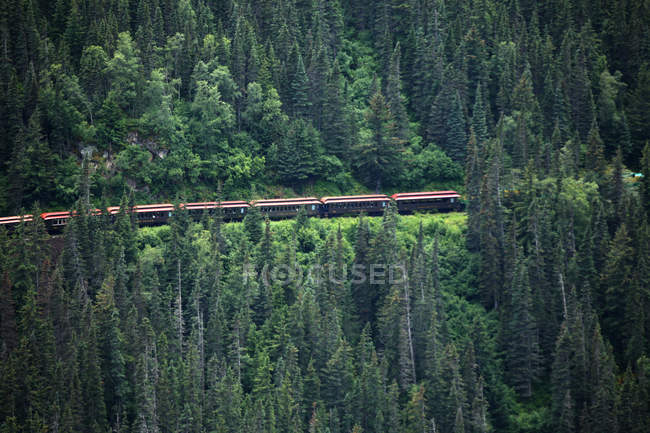 Высокий угол зрения на поезд, путешествующий между зелеными деревьями в горах — стоковое фото