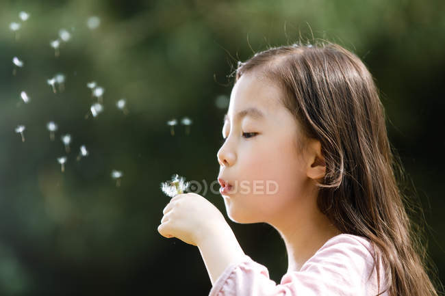 Adorable asiatique enfant souffler pissenlit à l'extérieur — Photo de stock