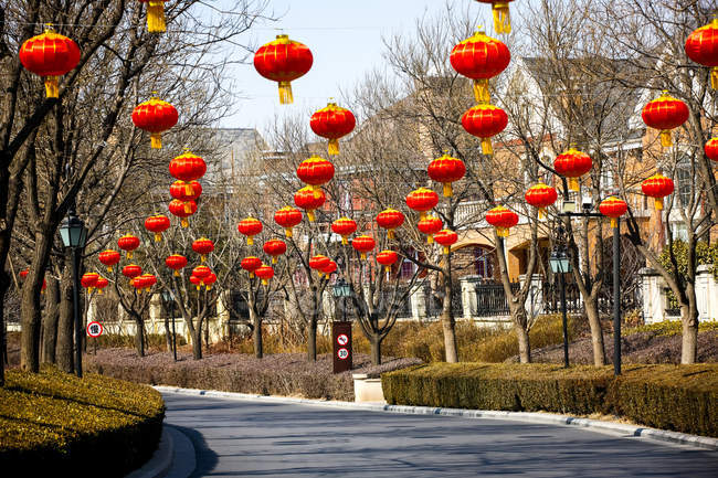 Traditional red chinese lanterns hanging above road — Stock Photo