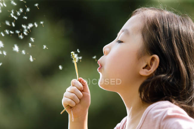 Чарівний азіатський дитина дме кульбабу на відкритому повітрі — стокове фото