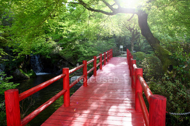 Дивовижні природні пейзажі з порожнім червоним мостом — стокове фото