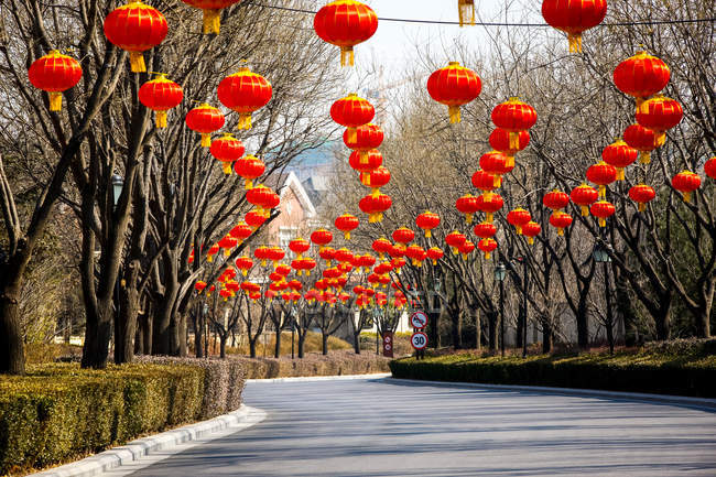 Traditional red chinese lanterns hanging above road — Stock Photo