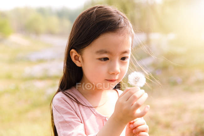 Adorable asian kid holding dandelion outdoors — Stock Photo