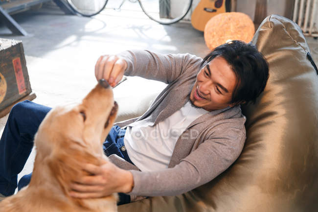 Blick aus der Vogelperspektive auf einen glücklichen asiatischen Mann, der zu Hause mit Hund spielt — Stockfoto