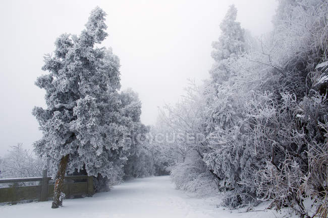 Heng Montagne dans la neige à Hengyang, province du Hunan, Chine — Photo de stock