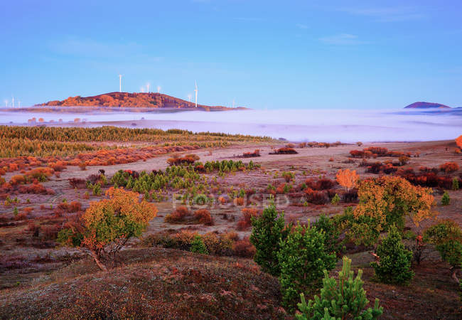 Amazing landscape and wind turbines at Bashang, Hebei, China — Stock Photo