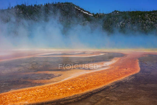 Amazing landscape with hot springs and trees in Yellowstone National Park, USA — Stock Photo