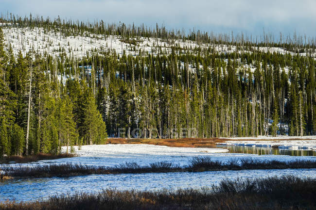 Paysage étonnant avec forêt et lac en hiver — Photo de stock