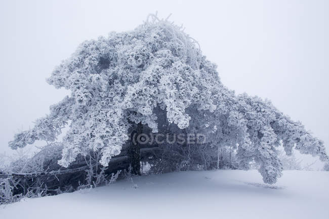 Heng-Berg im Schnee in Hengyang, Provinz Hunan, China — Stockfoto
