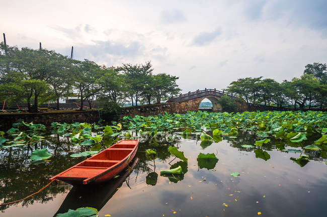 Schildkrötenkopfgarten in Wuxi, Provinz Jiangsu, China — Stockfoto
