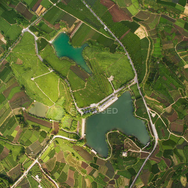 Vista aérea de hermosos campos agrícolas verdes durante el día - foto de stock